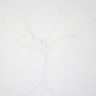 pedra branca de quartzo de 2.2g/Cm2 Carrara com os painéis de parede interior